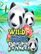 super slot777sa36 ทดลอง เล่นสนุกกับโจรสลัด